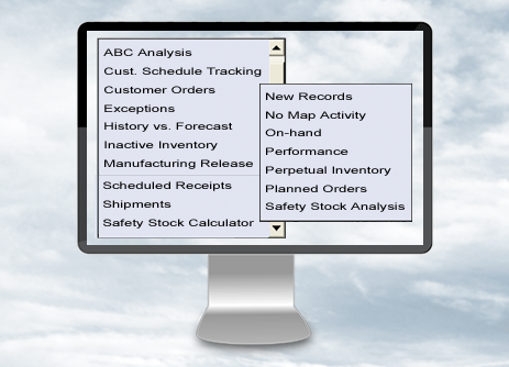 Demand Planning Reports